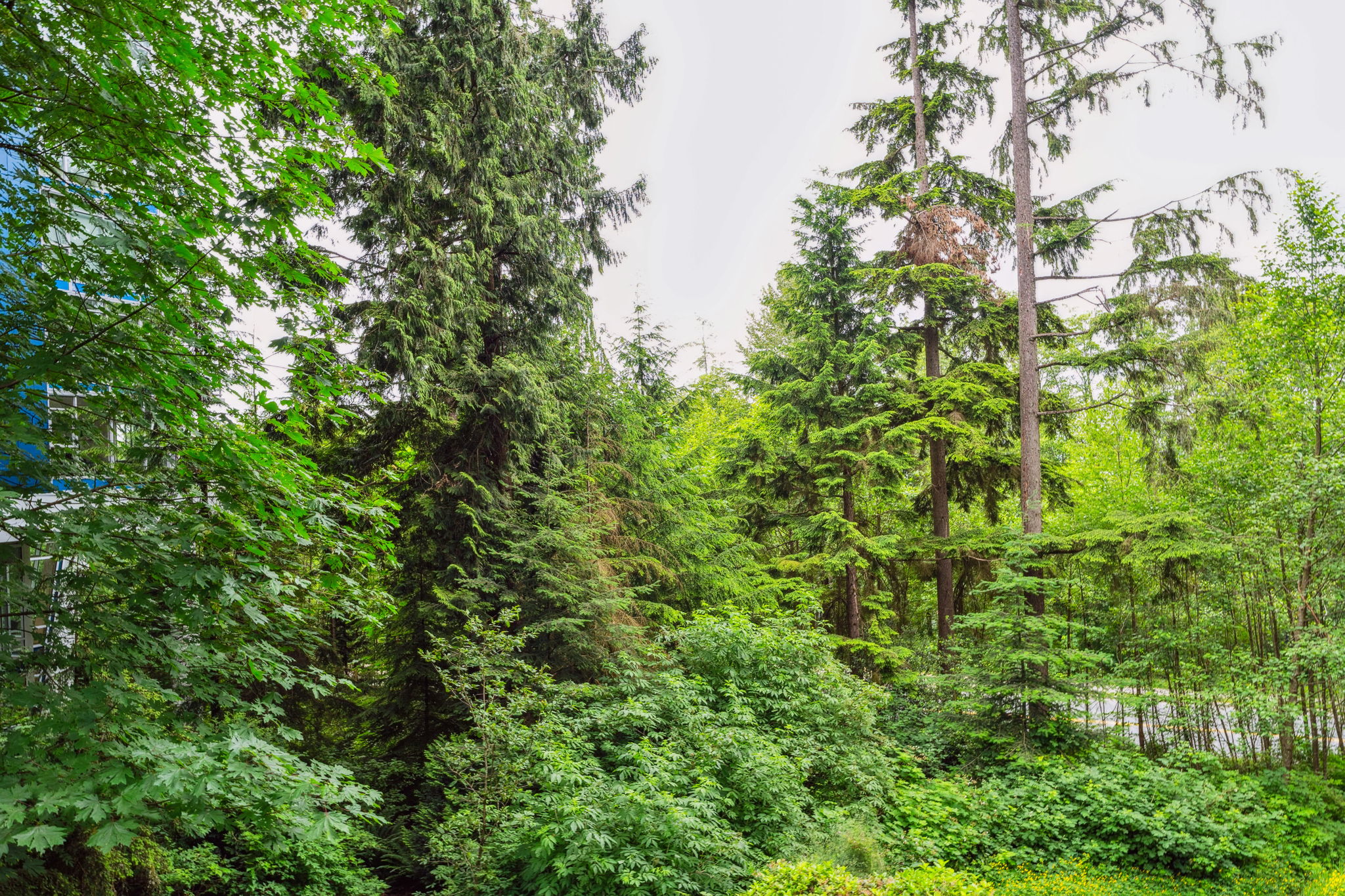 002 9060 University Crescent, Burnaby, British Columbia   - Photo 14 - R3016754