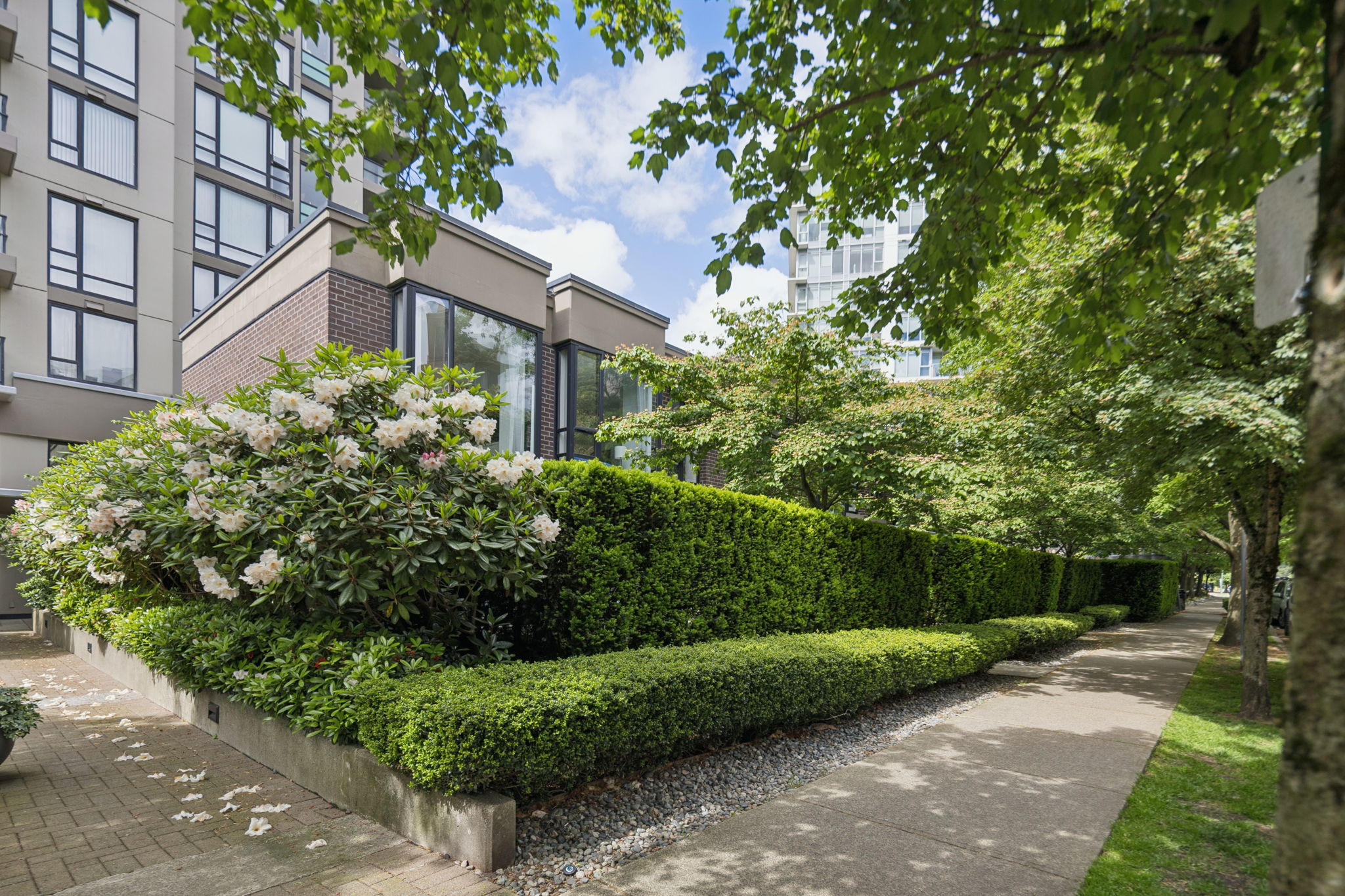 153 W 2nd Street, North Vancouver, British Columbia  V7M 1C - Photo 21 - R3125128